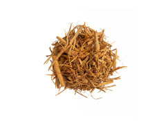 Ayahuasca Liane