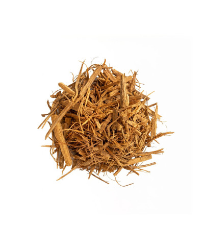 Ayahuasca Liane