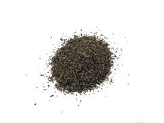 Brahmi 