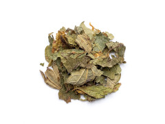 Calea - Traum Kraut
