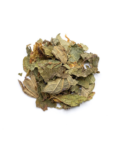 Calea - Traum Kraut