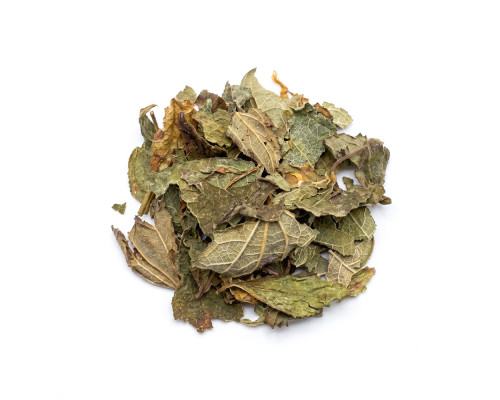 Calea - Traum Kraut