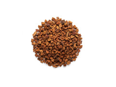 Chaga 