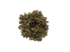 Combretum