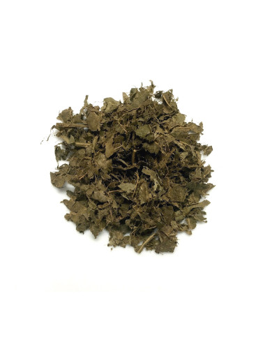 Combretum
