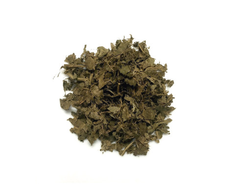 Combretum
