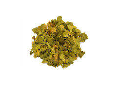 Ginkgo Blätter