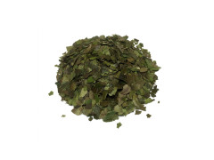 Guayusa