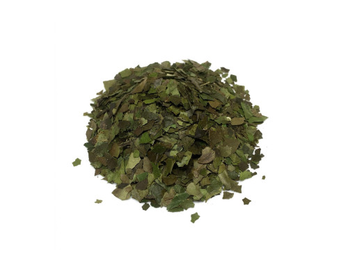 Guayusa