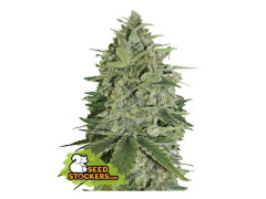 Super Skunk