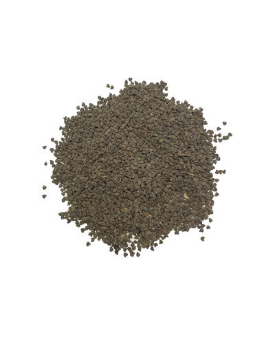 Sida Cordifolia