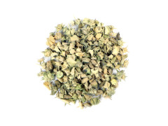 Tribulus terrestris